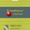 Kirschbaum Badmintonsaite Smash B70 Weiss 10m Set